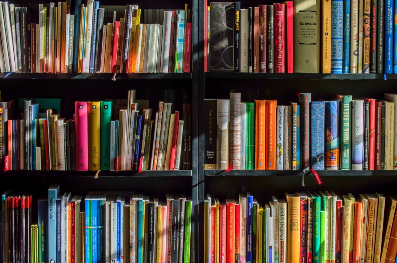 boutique--min_books_bookstore_book_reading_shop_writer_sale_books_read-822866